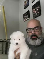 processed/ce01f133-df0a-4e25-94d1-cfb223c859dc/listing/324c7570-8263-4e91-b3ec-44d10cc299be/f5cc88a9-f9bf-4d2f-935f-5cf537650895