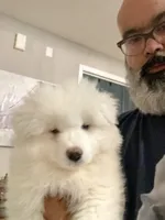 processed/ce01f133-df0a-4e25-94d1-cfb223c859dc/listing/9a49c08a-23e9-4f69-b734-d6f0986180c7/d5097ed6-4234-474b-a195-7e540c4c2f4c