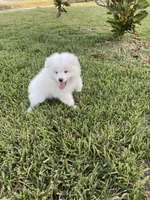 processed/ce01f133-df0a-4e25-94d1-cfb223c859dc/listing/9a49c08a-23e9-4f69-b734-d6f0986180c7/d8daf52f-b8f8-4458-8946-232a481d261f