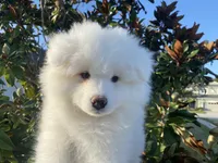 processed/ce01f133-df0a-4e25-94d1-cfb223c859dc/listing/9a49c08a-23e9-4f69-b734-d6f0986180c7/eb2bc980-9936-4fbf-a70f-386e012c95ad