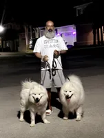 Brown, a male Samoyed for sale in Land O Lakes, FL – 6 of 10