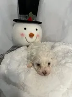 processed/ce0a5241-e352-4240-bf31-361e27820eb1/listing/ae6cad47-a423-4c4c-a802-d58afcf6bcf4/557b034f-bd3d-4154-89fb-56483471d177