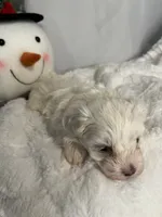 processed/ce0a5241-e352-4240-bf31-361e27820eb1/listing/ae6cad47-a423-4c4c-a802-d58afcf6bcf4/6ca60262-e09c-4528-9697-26a1b304c22a