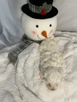 processed/ce0a5241-e352-4240-bf31-361e27820eb1/listing/ae6cad47-a423-4c4c-a802-d58afcf6bcf4/8375baa4-1748-471a-8ae1-3b4c28e93449