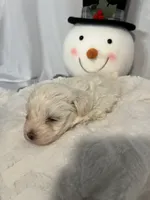 processed/ce0a5241-e352-4240-bf31-361e27820eb1/listing/ae6cad47-a423-4c4c-a802-d58afcf6bcf4/c5f2a23e-18db-4002-ad7f-afc315dfaa52