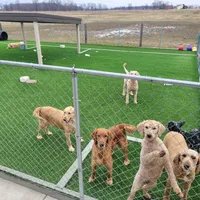 processed/ce1108ba-9929-49da-86cd-04a9cca21cec/facility/2415d6eb-0ea9-40af-b8dc-9742d5d71049