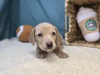 processed/ce1108ba-9929-49da-86cd-04a9cca21cec/listing/0718129a-d919-45e4-b840-6b30500b8169/1e45c208-1fda-426f-aed7-fd30b41a4082