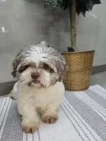 processed/ce1108ba-9929-49da-86cd-04a9cca21cec/listing/11d721b0-5f70-485e-8084-2879aa99e79c/3b3ec306-6656-46f1-9515-da29a7871a34