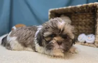 processed/ce1108ba-9929-49da-86cd-04a9cca21cec/listing/11d721b0-5f70-485e-8084-2879aa99e79c/a4758a22-fc8a-4094-b30e-9ca9f735242c