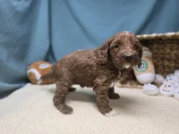 processed/ce1108ba-9929-49da-86cd-04a9cca21cec/listing/126ed9f2-8bef-403c-8f85-ba4ba8020522/27021242-0138-47e2-b041-9fd13ea26855