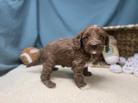 processed/ce1108ba-9929-49da-86cd-04a9cca21cec/listing/126ed9f2-8bef-403c-8f85-ba4ba8020522/35dc2b57-8292-4739-9f94-9f81236a5bbb