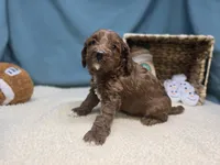 processed/ce1108ba-9929-49da-86cd-04a9cca21cec/listing/126ed9f2-8bef-403c-8f85-ba4ba8020522/e4c30ad1-f38f-4771-9910-ff21f800c75a