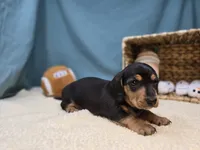 processed/ce1108ba-9929-49da-86cd-04a9cca21cec/listing/13ac9762-fae0-4897-9b3c-e2343f876892/2a427d5b-efa0-4aae-b1ab-37d86e2c0ca9