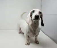 processed/ce1108ba-9929-49da-86cd-04a9cca21cec/listing/13ac9762-fae0-4897-9b3c-e2343f876892/71845bc9-4f1f-42c8-92e8-527b65d30de2