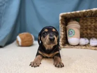 processed/ce1108ba-9929-49da-86cd-04a9cca21cec/listing/13ac9762-fae0-4897-9b3c-e2343f876892/ab1c4bb1-81c8-4b6c-bb97-e6954d3de508