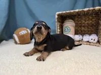 processed/ce1108ba-9929-49da-86cd-04a9cca21cec/listing/13ac9762-fae0-4897-9b3c-e2343f876892/db11c4af-890e-4977-b261-7c4362049258