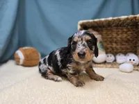 processed/ce1108ba-9929-49da-86cd-04a9cca21cec/listing/15d3aa90-6b2b-41f8-b28c-bb5b1d66c017/5f05c286-322a-4c24-a3bb-98f7673f5f98