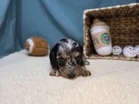 processed/ce1108ba-9929-49da-86cd-04a9cca21cec/listing/15d3aa90-6b2b-41f8-b28c-bb5b1d66c017/ee64d6a4-eebd-4a61-87af-b53f4982f0cb