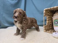 processed/ce1108ba-9929-49da-86cd-04a9cca21cec/listing/20e9d1b9-ab2e-4fb2-9890-5d11a7115e3b/2074f6e7-5731-47a3-a783-d3fd98ea6f38