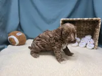 processed/ce1108ba-9929-49da-86cd-04a9cca21cec/listing/20e9d1b9-ab2e-4fb2-9890-5d11a7115e3b/431b81d6-1496-4169-868a-62e22edb6f51