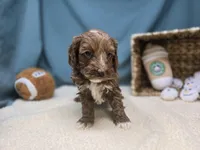 processed/ce1108ba-9929-49da-86cd-04a9cca21cec/listing/20e9d1b9-ab2e-4fb2-9890-5d11a7115e3b/73a3dbe3-0f99-460d-8936-650141d87443