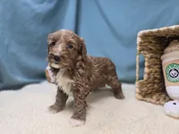 processed/ce1108ba-9929-49da-86cd-04a9cca21cec/listing/20e9d1b9-ab2e-4fb2-9890-5d11a7115e3b/9e799595-a4ab-4d3a-a301-62427d62d4a3