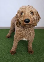 processed/ce1108ba-9929-49da-86cd-04a9cca21cec/listing/20e9d1b9-ab2e-4fb2-9890-5d11a7115e3b/ec216b5f-36fa-48db-949e-76690fe04420