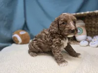 processed/ce1108ba-9929-49da-86cd-04a9cca21cec/listing/20e9d1b9-ab2e-4fb2-9890-5d11a7115e3b/f3089ffc-db6d-4ae2-bb13-adc9053ad560