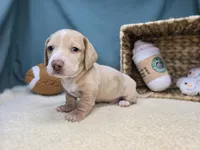 processed/ce1108ba-9929-49da-86cd-04a9cca21cec/listing/238fbf85-f49f-443b-a1b2-a7fdc1654b1c/15a12e0c-59b1-4c70-9df3-e2133a7557a3