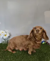 processed/ce1108ba-9929-49da-86cd-04a9cca21cec/listing/238fbf85-f49f-443b-a1b2-a7fdc1654b1c/3db40148-0f2a-485e-9f96-f16ae80c2806