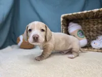 processed/ce1108ba-9929-49da-86cd-04a9cca21cec/listing/238fbf85-f49f-443b-a1b2-a7fdc1654b1c/58375393-6960-4a08-b12e-c3c472c043f7