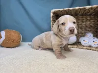 processed/ce1108ba-9929-49da-86cd-04a9cca21cec/listing/238fbf85-f49f-443b-a1b2-a7fdc1654b1c/7f7c4d7e-f222-4aea-bec6-8112da620277