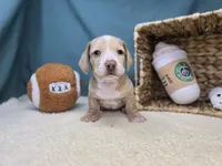 processed/ce1108ba-9929-49da-86cd-04a9cca21cec/listing/238fbf85-f49f-443b-a1b2-a7fdc1654b1c/d47628dd-8f1e-4cf5-982c-247a2f1711e5