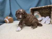 processed/ce1108ba-9929-49da-86cd-04a9cca21cec/listing/23c82761-c310-4fb0-950b-200d5fa0d929/826be88e-f826-4c54-9087-ada6de1e5640