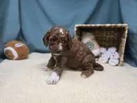 processed/ce1108ba-9929-49da-86cd-04a9cca21cec/listing/23c82761-c310-4fb0-950b-200d5fa0d929/8f72a1f5-4cad-4347-a0af-7d97c342d735