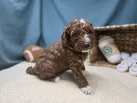 processed/ce1108ba-9929-49da-86cd-04a9cca21cec/listing/23c82761-c310-4fb0-950b-200d5fa0d929/c5a44e53-b4b3-466a-aab5-6ada179a32da