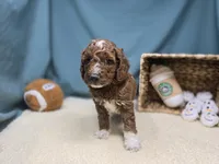 processed/ce1108ba-9929-49da-86cd-04a9cca21cec/listing/23c82761-c310-4fb0-950b-200d5fa0d929/ca1a8cea-00b4-4713-857d-ff218ecfce4b