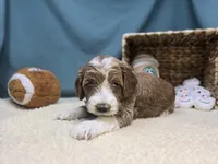 processed/ce1108ba-9929-49da-86cd-04a9cca21cec/listing/4937690a-e1f0-4251-bf11-f6f76e6071ca/5aa73c5f-2c88-48a0-b5e2-9ffa540bb1de