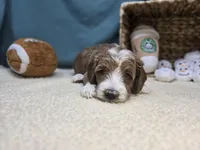 processed/ce1108ba-9929-49da-86cd-04a9cca21cec/listing/4937690a-e1f0-4251-bf11-f6f76e6071ca/911fbec1-aeb1-4812-8875-368fb82a1ce1