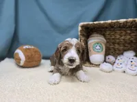 processed/ce1108ba-9929-49da-86cd-04a9cca21cec/listing/4937690a-e1f0-4251-bf11-f6f76e6071ca/b1382e79-1321-49fe-a110-bdfe53097111