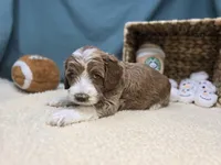 processed/ce1108ba-9929-49da-86cd-04a9cca21cec/listing/4937690a-e1f0-4251-bf11-f6f76e6071ca/f1f52d49-6f52-46a3-bca0-b8cf6f8e33b1