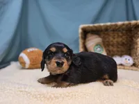 processed/ce1108ba-9929-49da-86cd-04a9cca21cec/listing/49ed464d-e3e2-49c3-b2df-7f71c29e34ef/0783e8b7-747e-404d-a03a-d0a391afd9ba