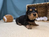 processed/ce1108ba-9929-49da-86cd-04a9cca21cec/listing/49ed464d-e3e2-49c3-b2df-7f71c29e34ef/0ee2e325-ebd0-46b5-ac61-c2150b9384ff