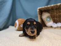 processed/ce1108ba-9929-49da-86cd-04a9cca21cec/listing/49ed464d-e3e2-49c3-b2df-7f71c29e34ef/340c40d5-410c-43ad-96c1-039f94f672af