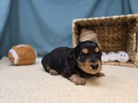 processed/ce1108ba-9929-49da-86cd-04a9cca21cec/listing/49ed464d-e3e2-49c3-b2df-7f71c29e34ef/36e054a5-e482-45a0-8cde-a047d5758c3a