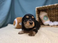 processed/ce1108ba-9929-49da-86cd-04a9cca21cec/listing/49ed464d-e3e2-49c3-b2df-7f71c29e34ef/ce00c4fb-dc8c-4b43-998c-1607f60bc190