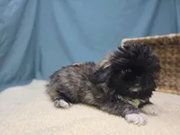 processed/ce1108ba-9929-49da-86cd-04a9cca21cec/listing/4d4ab8c5-743d-4d64-ad95-507ea116261c/34f76681-931a-4334-bd9a-e4ff9cd904f5