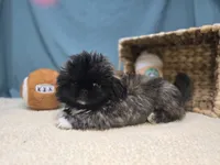 processed/ce1108ba-9929-49da-86cd-04a9cca21cec/listing/4d4ab8c5-743d-4d64-ad95-507ea116261c/548767a9-b607-4e47-a930-b496d2c65682