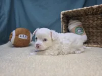 processed/ce1108ba-9929-49da-86cd-04a9cca21cec/listing/6f4de9e2-bb64-4adb-9c43-abd116a28013/302c4849-77c0-41c6-a70d-0848402a326f