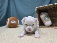 processed/ce1108ba-9929-49da-86cd-04a9cca21cec/listing/6f4de9e2-bb64-4adb-9c43-abd116a28013/4152dc62-d9f7-4a8a-ad53-d1d1fa78a394